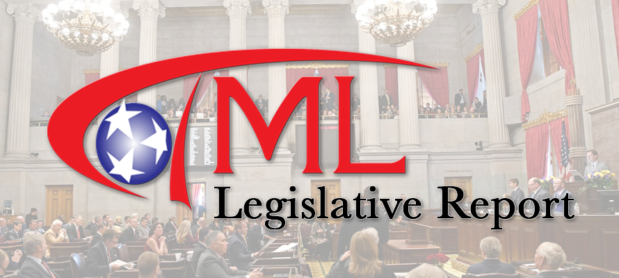 Legislative Report 2023